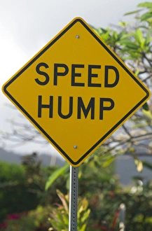 Warning Prints: Road sign warnig of speed hump on the island of Kauai, Hawaii, USA