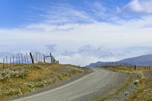 Images Dated 24th April 2009: A road in Torres del Paine National Park, Patagonia, Chile