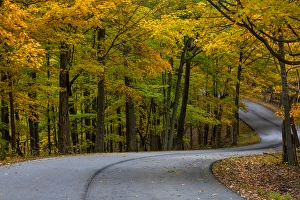 Roadway Prints: Roadway in autumn in Brown County State Park, Indiana, USA