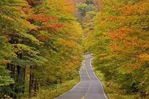 Images Dated 9th October 2007: Roadway through White Mountain National Forest in autumn, New Hampshire
