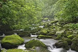 Images Dated 13th June 2006: Roaring Fork Creek, Great Smoky Mountains National Park, Tennessee