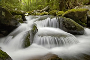 Images Dated 6th May 2011: Roaring Fork, Roaring Fork Motor Nature Trail, Great Smoky Mountains National Park