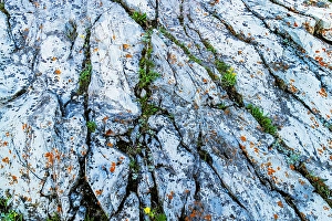 Lichen Prints: Rock art in Glacier National Park, Montana, USA. (Editorial Use Only)