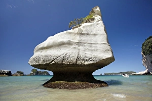 Outcrop Prints: Rock formation, Mares Leg Cove, Cathedral Cove, Coromandel Peninsula, North Island