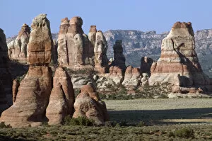 Images Dated 2nd June 2007: Rock formations in The Needles district, Canyonlands National Park, Utah, USA