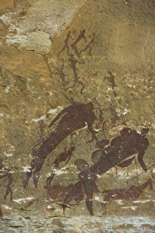 Images Dated 5th September 2007: Rock painting by San bushmen in Drakensberg Royal Natal NP, South Africa