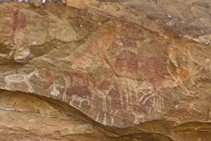 Images Dated 5th September 2007: Rock painting by San bushmen in Drakensberg Royal Natal NP, South Africa