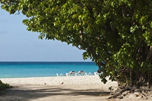 West Indies Prints: Rockley Beach Barbados, Caribbean