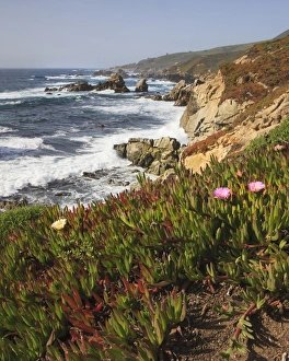 Foam Prints: Rocky Coast with wild flowers. Garrapata State Park. View towards North. Entrance #7