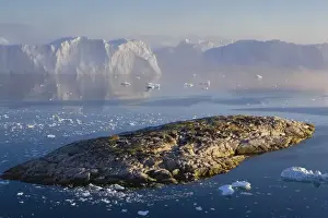 Midnight Sun Prints: Rocky island and large icebergs at midnight drifting in fiord, end of June, mid summer