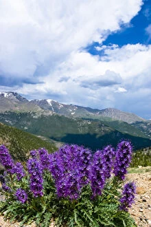Images Dated 13th July 2004: Rocky Mountain National Park is a destination for vacationers from all over the world
