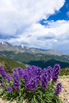 Images Dated 13th July 2004: Rocky Mountain National Park is a destination for vacationers from all over the world