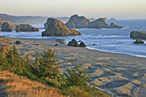 Images Dated 1st January 1980: Rocky shoreline evening lighting near Gold Beach Oregon
