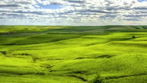 Infrared Prints: Rolling hills in Flint Hills of Kansas, hazy morning