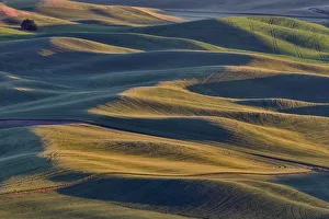 Rolling wheat fields as seen from above Steptoe Butte State Park, Washington State