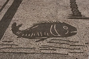 Images Dated 14th August 2005: Roman mosaic. Fish. From the Forum of the Corporations or Piazza delle Corporazione