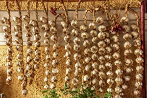 Transylvania Prints: Romania, Carpathian Mountains, Prahova County, Sinaia. Braids of Garlic drying