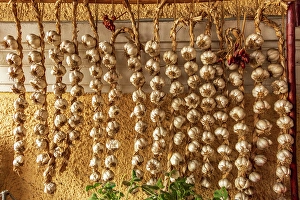 Vegetable Prints: Romania, Carpathian Mountains, Prahova County, Sinaia. Braids of Garlic drying