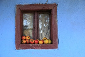 Romania Gallery: Romania Maramures County, Dobricu Lapusului