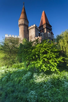 Images Dated 13th May 2014: Romania, Transylvania, Hunedoara, Corvin Castle, dawn