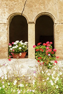 Multicolored Prints: Romania, Transylvania, Sibiu County. Flowers