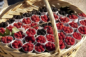 Home Grown Prints: Romania, Wallachia, Sinaia. Fresh berries in basket