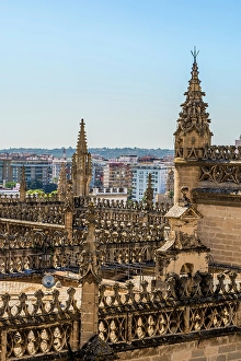 Seville Prints: Roof of the Catedral de Sevilla (Seville Cathedral)