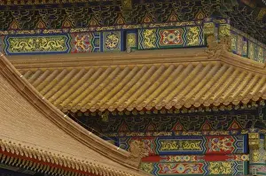 Imperial Prints: Roof detail Forbidden City (National Palace Museum) Beijing, CHINA