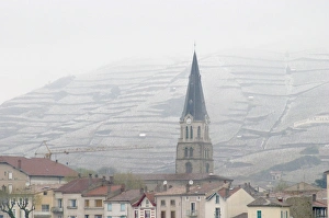 Images Dated 16th April 2005: The roof tops and the church. The Hermitage vineyards on the hill behind the city