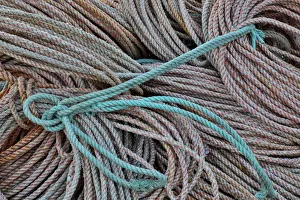 Rope Prints: Rope in Crescent City marina, Northern California