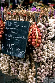 Images Dated 30th June 2006: ropes of garlic in local shop of Nice France