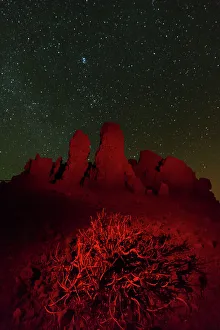 Bush Prints: Roque de los Muchachos at night under a starry sky. La Palma Island, Canary Islands, Spain