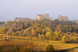 Sun Ray Prints: Roquetaillade hilltop village. Limoux. Languedoc. An early winter morning with mist