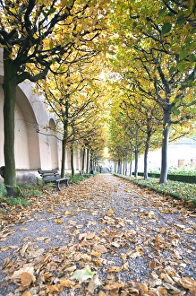 Images Dated 13th October 2010: Rose garden in the Neue Residenz (New Palace) in Bamberg, Germany