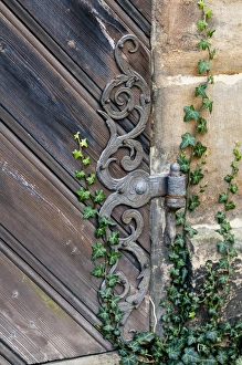 Bamberg Prints: Rose garden in the Neue Residenz (New Palace) in Bamberg, Germany