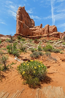 Images Dated 12th September 2024: Rough mules ears, Park Avenue, Arches National Park, Utah, US