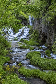 South Dakota Prints: Roughlock Falls in Spearfish Canyon in the Black Hills National Forest, South Dakota, USA