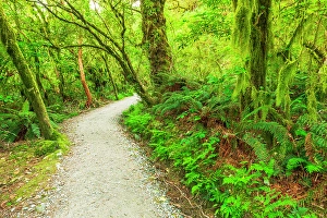 Images Dated 16th January 2024: The Routeburn Track, Fiordland National Park, South Island, New Zealand