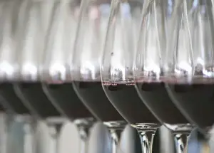 Images Dated 12th November 2012: A row of glasses filled with wine for tasting in the tasting room Chateau Paloumey