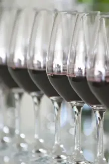 Medoc Prints: A row of glasses filled with wine for tasting in the tasting room Chateau Paloumey