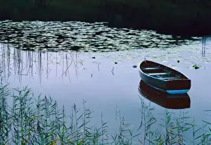 Row Boat Prints: Rowboat on small lake surrounded by water lillies (Nymphaea sp)