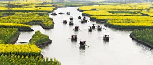 Rowing boat on river through Thousand-Islet canola flower fields, Xinghua, Jiangsu Province