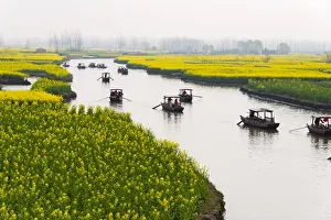 Rowing boat on river through Thousand-Islet canola flower fields, Xinghua, Jiangsu Province