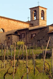 Images Dated 27th April 2004: Above rows of grapevines, a church bell tower stands, in the Lamole area of Tuscany