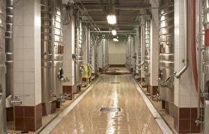 Rows of stainless steel fermentation tanks and a newly cleaned floor. The winery is designed