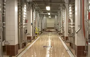 Holding Prints: Rows of stainless steel fermentation tanks and a newly cleaned floor
