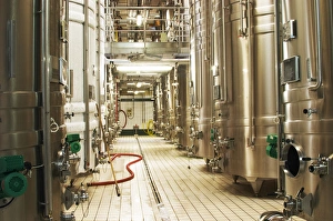 Images Dated 15th June 2005: Rows of Stainless steel wine fermentation tanks with two tanks that are in cold stabilization