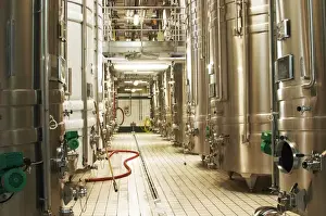 Champagne Prints: Rows of Stainless steel wine fermentation tanks with two tanks that are in cold stabilization