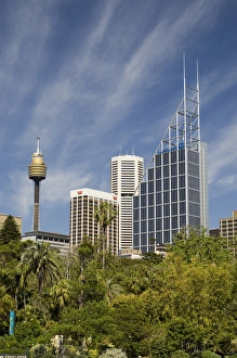 Images Dated 13th October 2006: Royal Botanic Gardens, Sydney, New South Wales, Australia