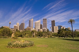 Images Dated 13th October 2006: Royal Botanic Gardens, Sydney, New South Wales, Australia